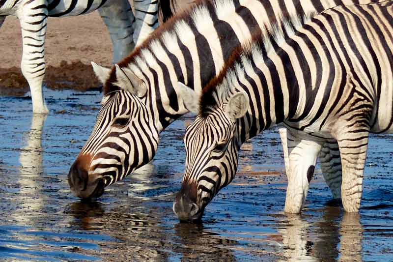 Namibia